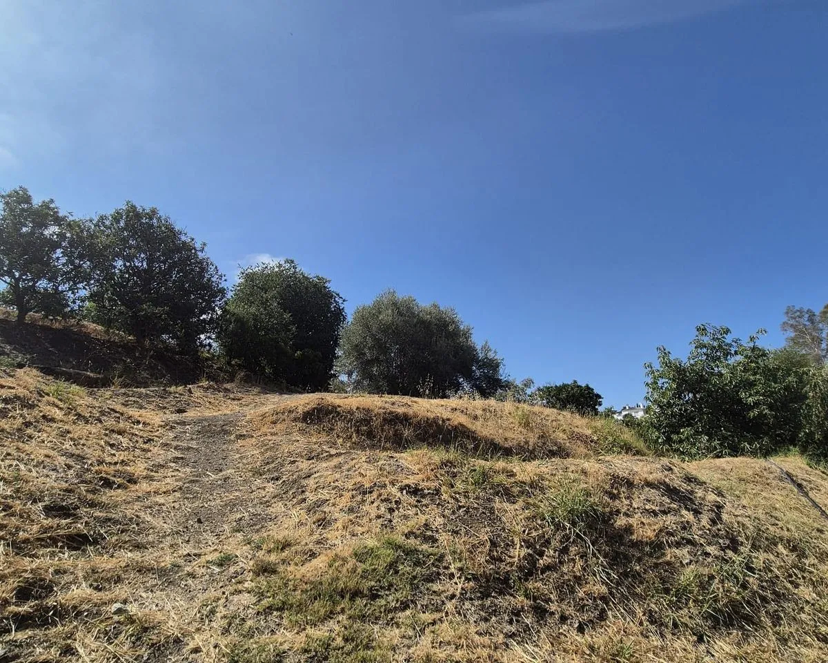 c51b2cd5-54ea-45c3-ab4e-10c1104717c0