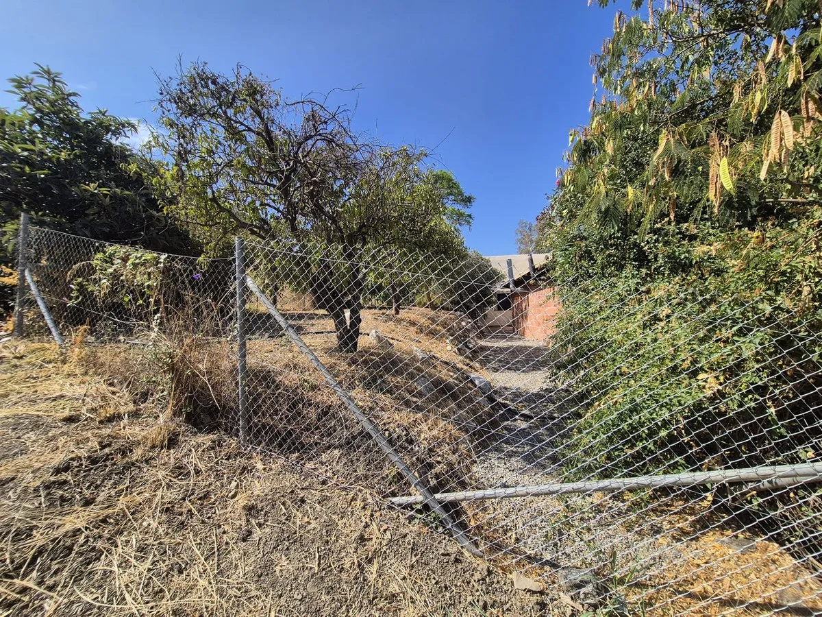 e0cd33b7-893a-4c2d-ada8-2856b62bf6e5