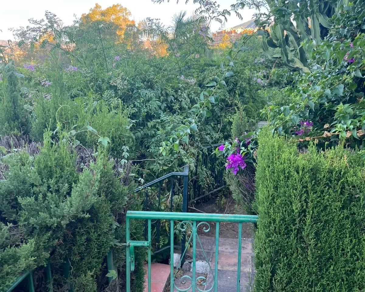 32a594e7-c1af-41aa-8e11-4bf567ca97b6