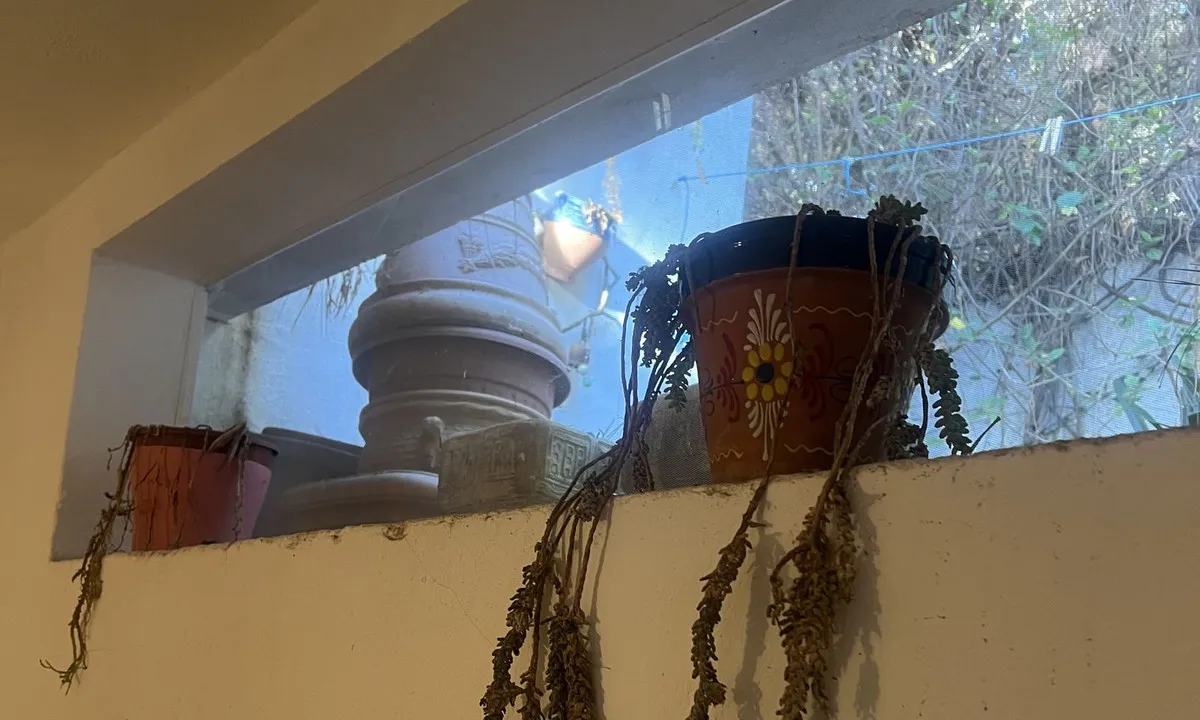 6a354161-2c2c-4fef-8c77-e7d92b41b43e