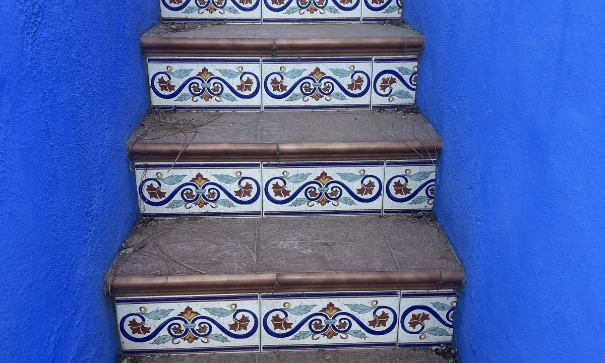 8b0a255e-680e-4def-b458-fafa755d539a