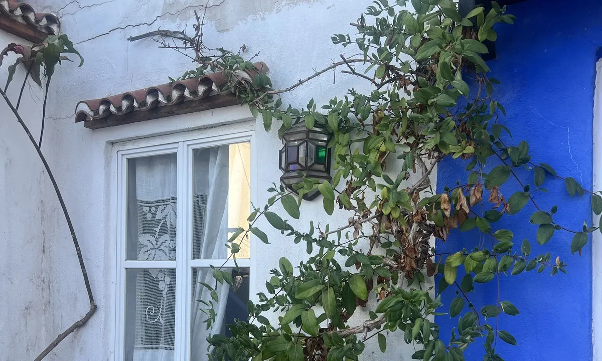 fdfa80a7-8fc7-4c71-b1c2-0bfeee544be9