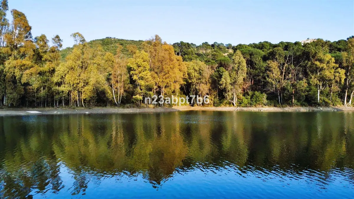 caf1e7b2-bb6b-4f22-9159-7b64b2c6fceb