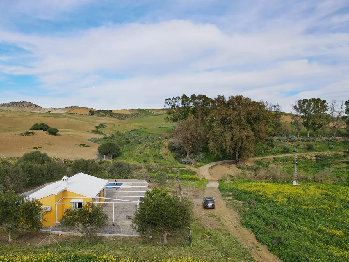 4d81a541-8fe9-4add-9ba5-ce9d14c7e808