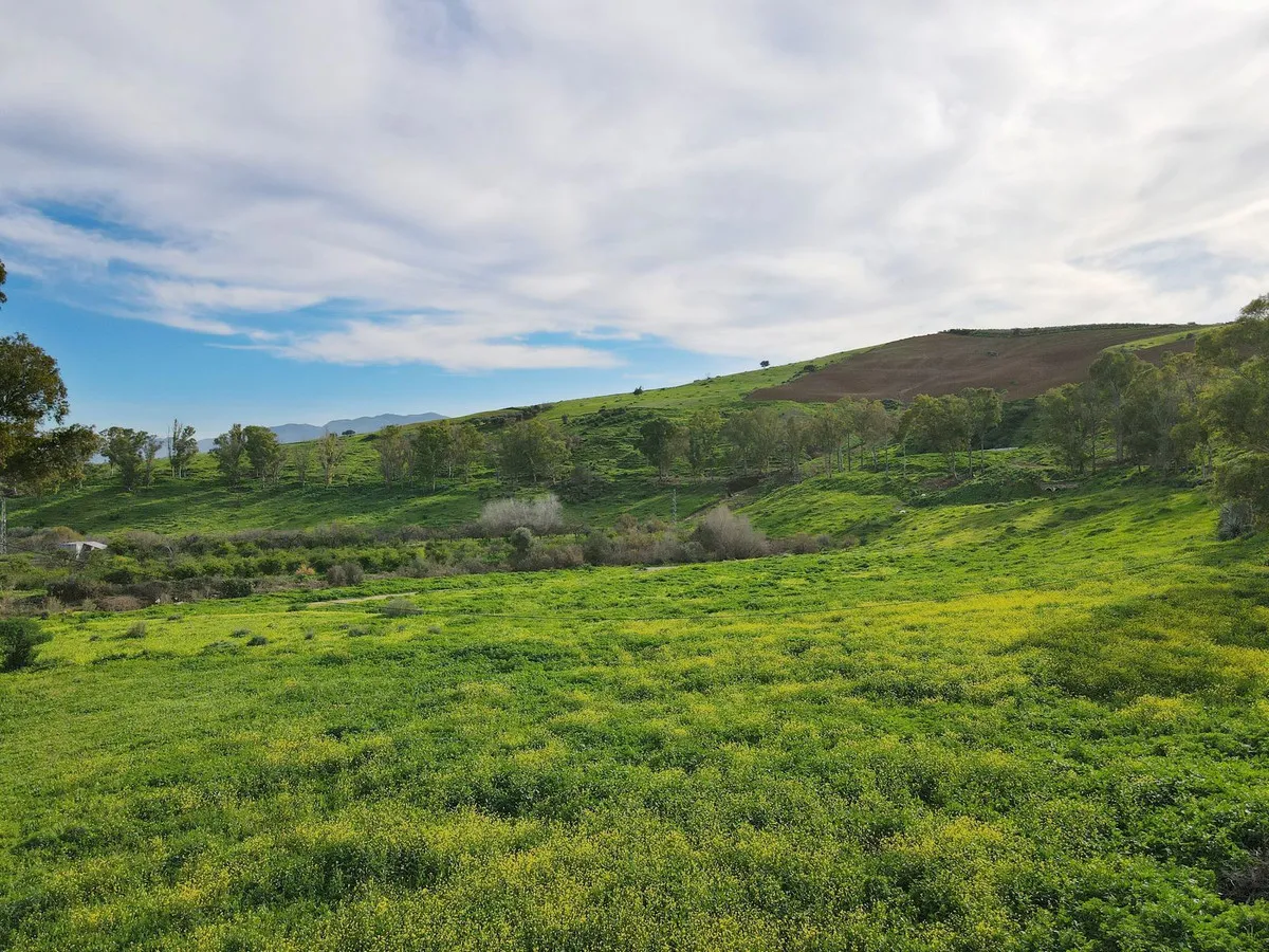 98705c54-b817-41a1-90bd-ce74eac9ca2d