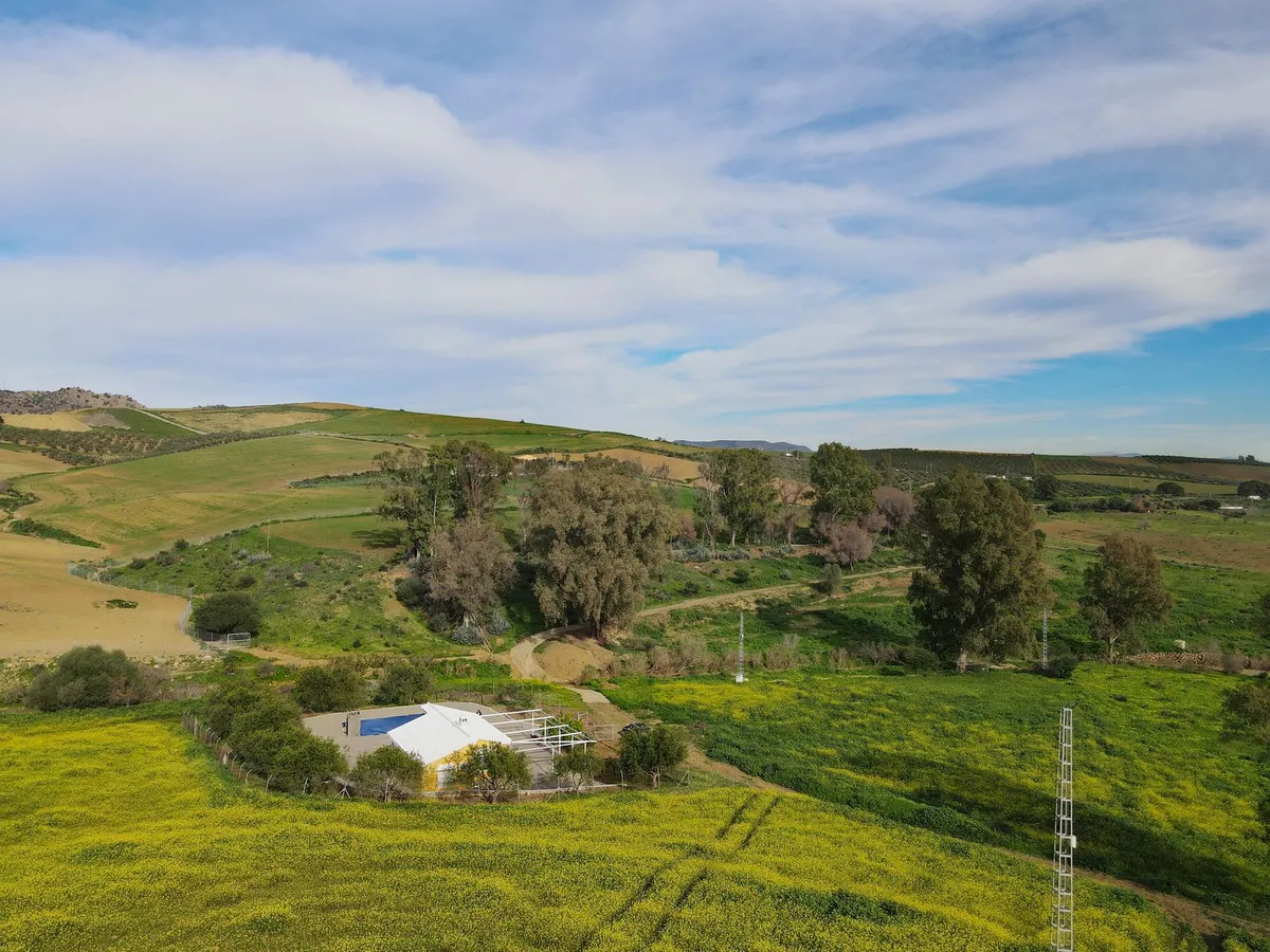 deb79dde-1f92-4ad5-bccd-73dd01aa8250