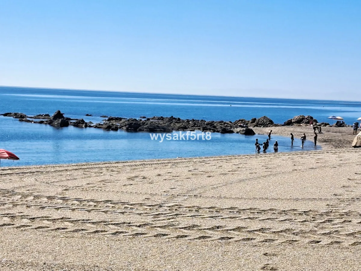 83a95a91-8f8c-4557-8ce8-746ba97c38e8