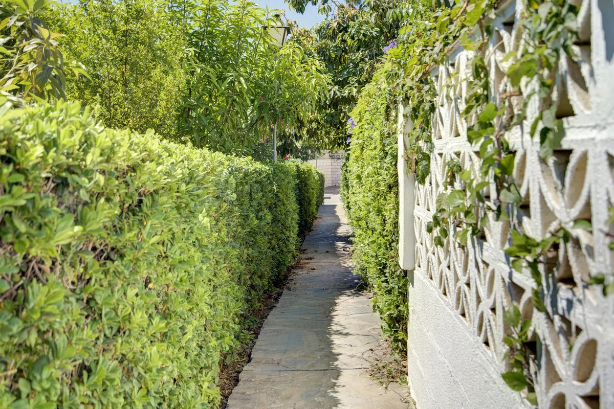 ea957637-109a-4044-a380-4c5f61d089a1