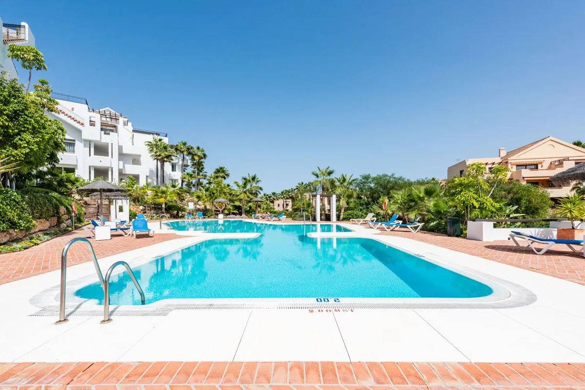 87f50142-7e52-4912-aedc-9dd9823ede90