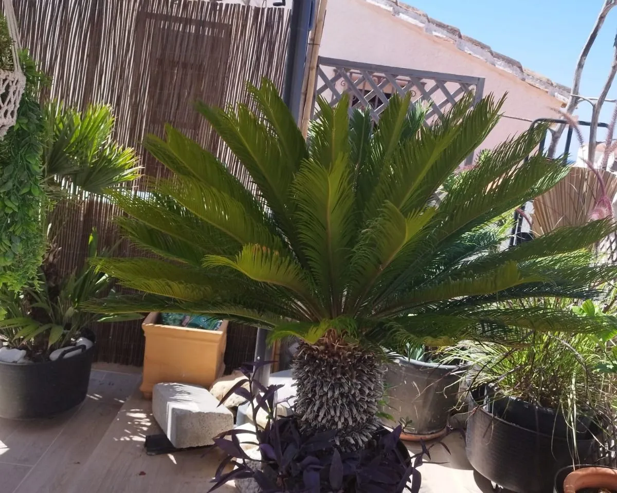 6720bbf3-09ea-4267-adbd-41bab341a2d4