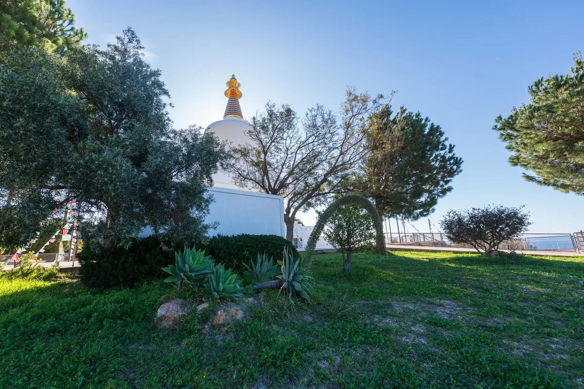 a481a5f8-7de4-4f68-8f9e-79753cf3d3f5