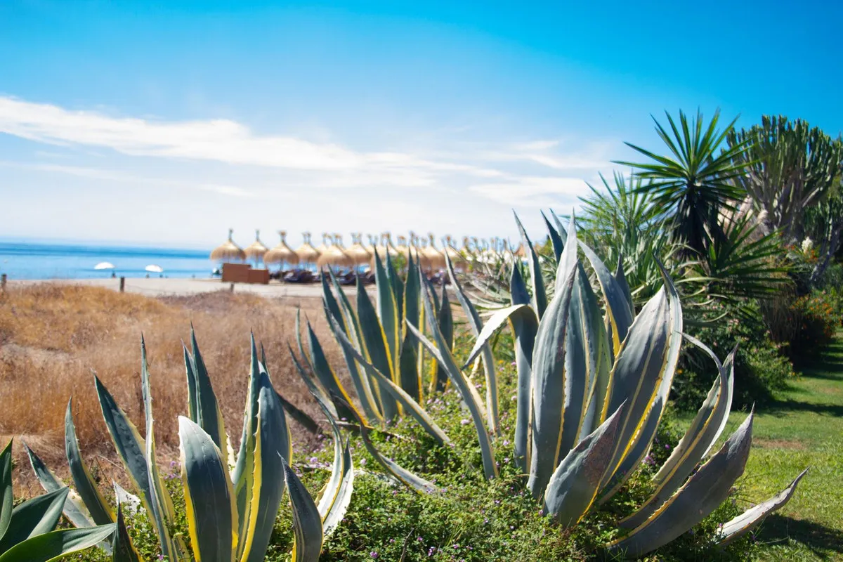 6003a5e7-661d-4bdd-9726-d71b2426fad5