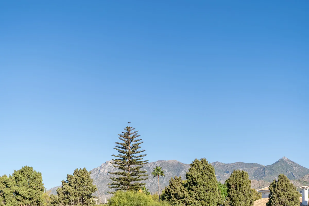 0ab0a15d-ea00-4fe7-b167-c9f05be993e0