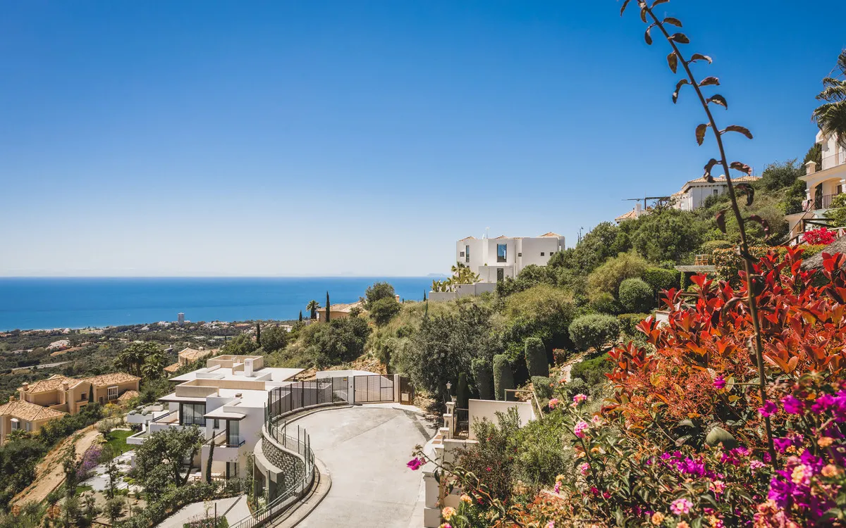 d2b0847a-98bd-45df-952d-43421b5d9dfb