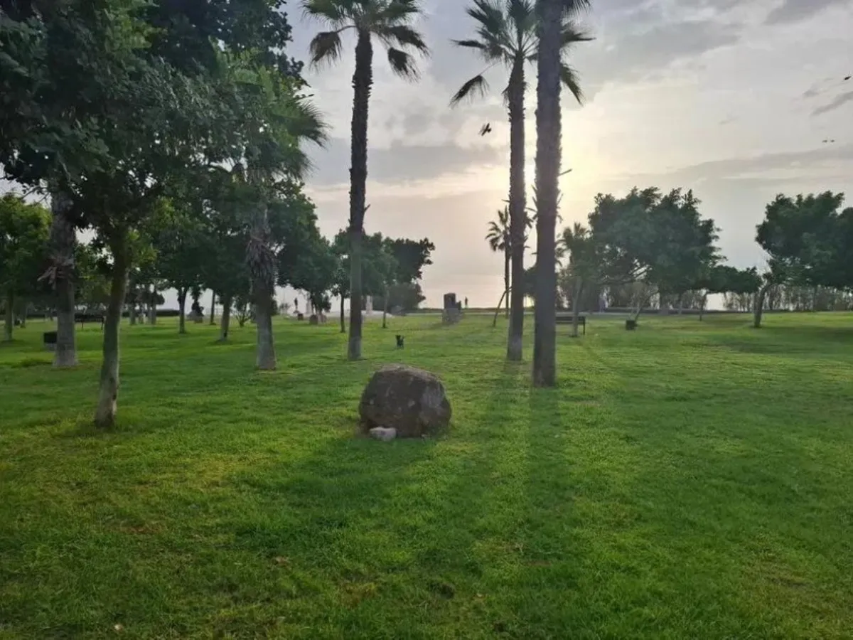 f93e63de-d2af-4c27-9534-44f096818ef3