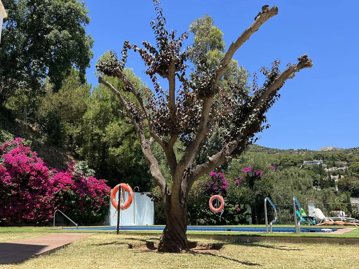 6ce38073-e90c-476d-ae5e-71bcd0fc7646