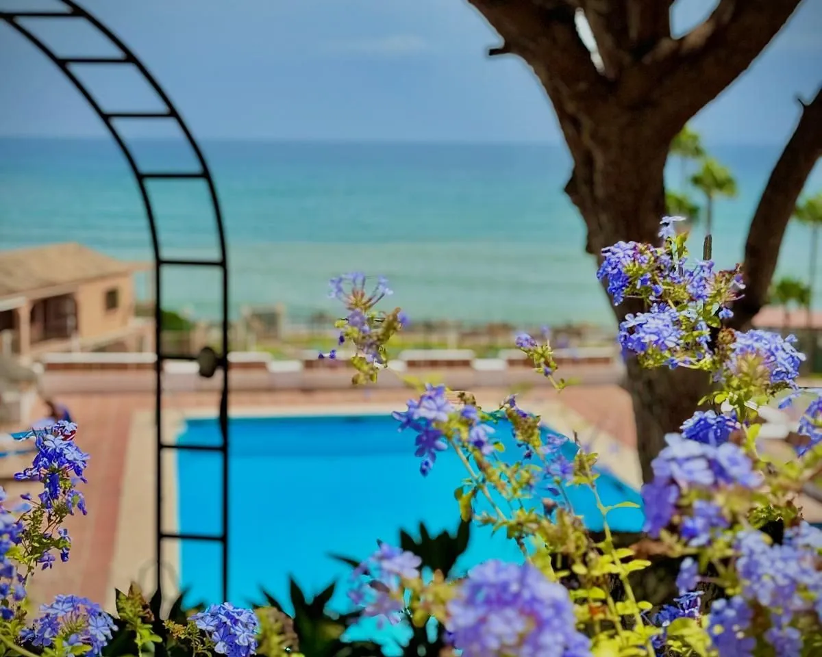 8134b4c2-09b9-4f29-91f9-ab8a6eb3387f