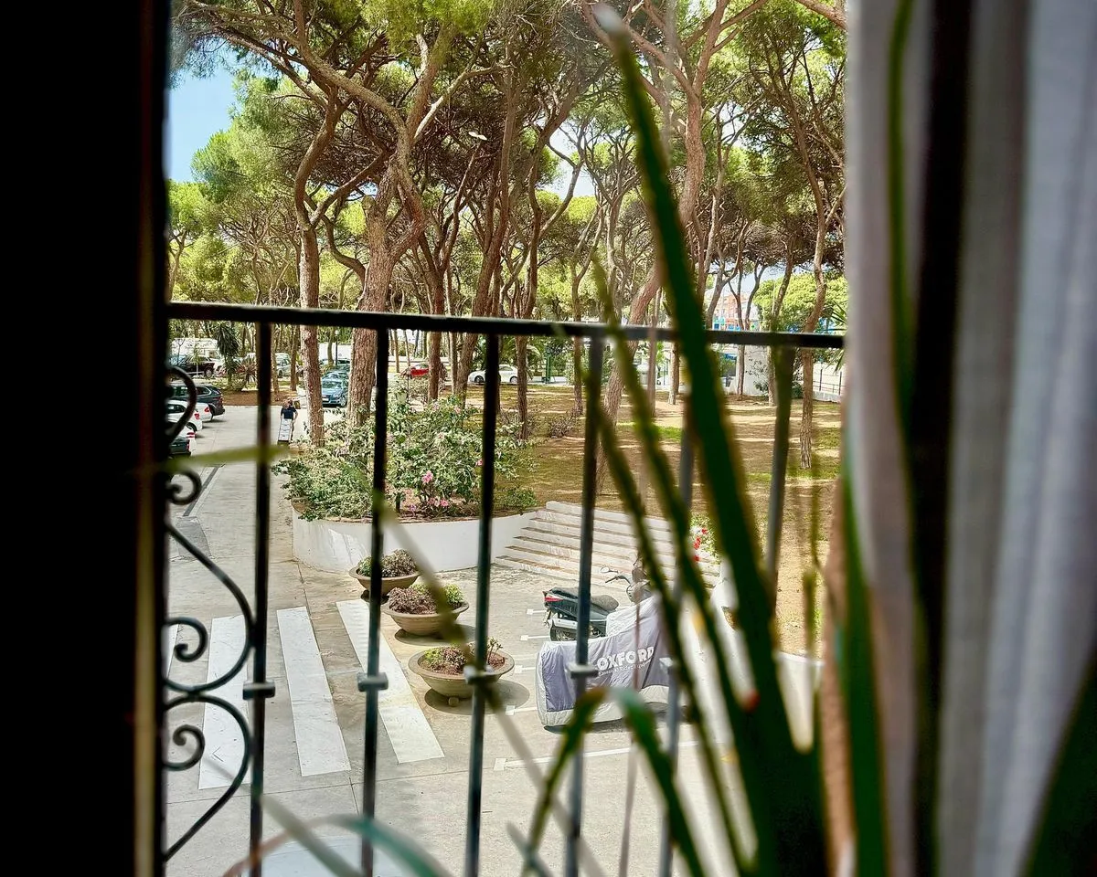 860d9eae-a2fd-4ce0-a6af-1b41802c048a