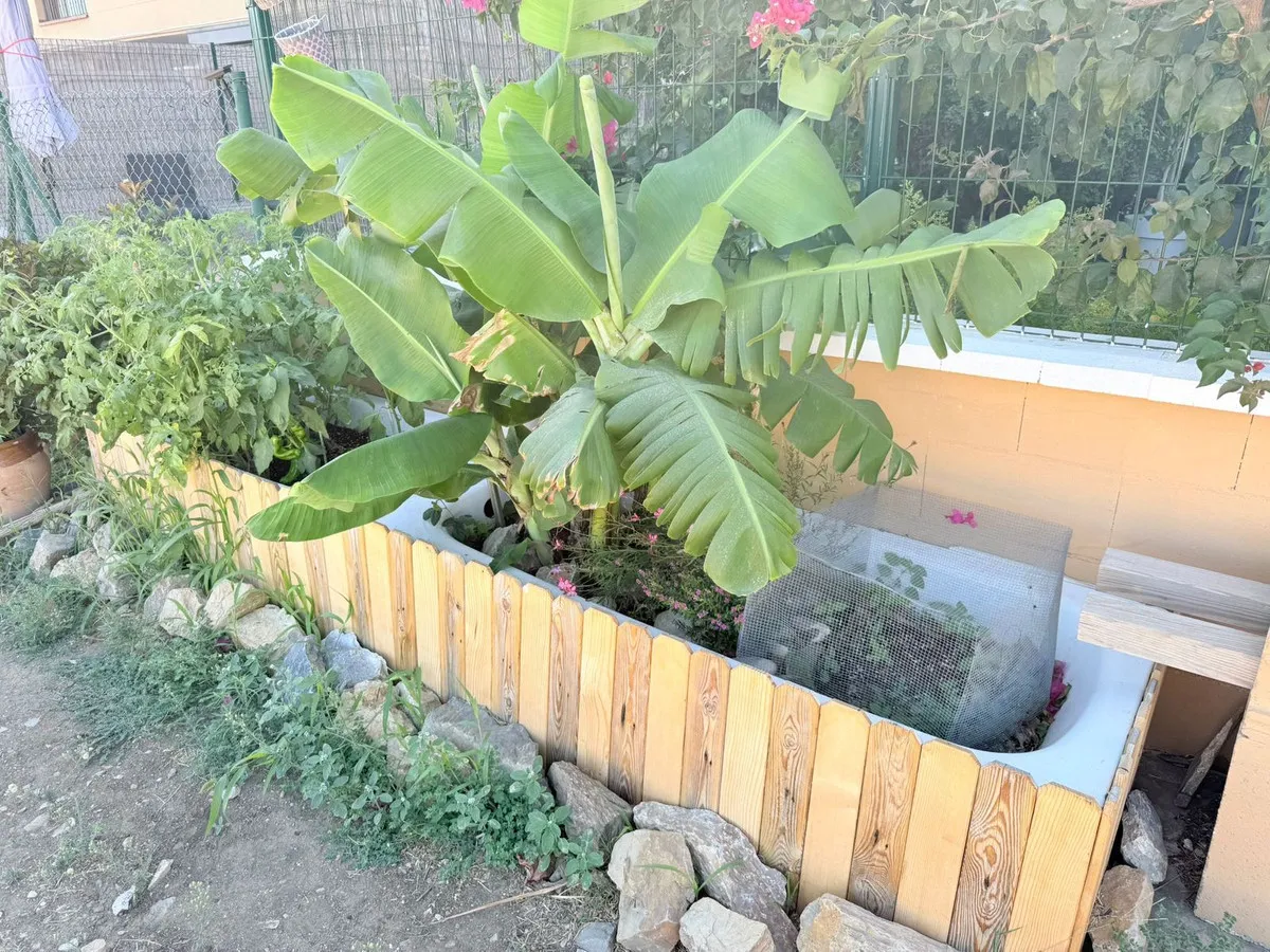 d4c134d0-bc5b-471f-a34c-0846d3efefe3