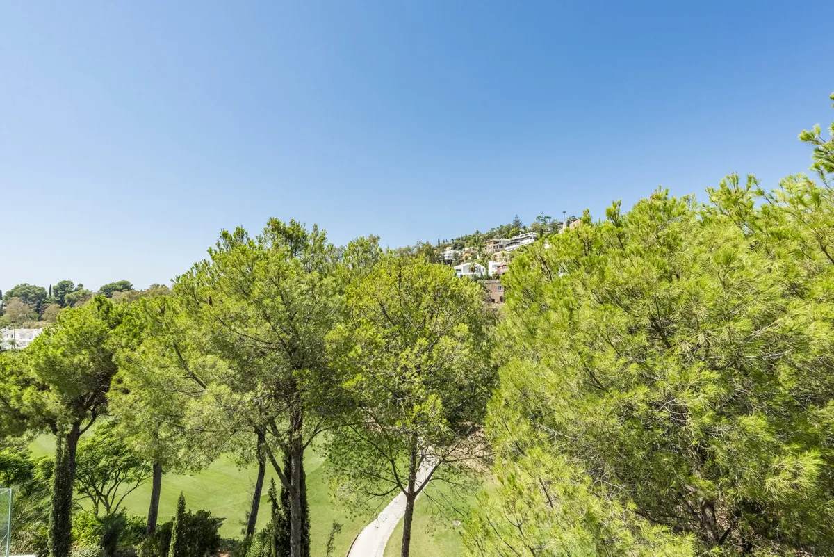 66a87428-1490-495c-a5ad-50b54aa273bf