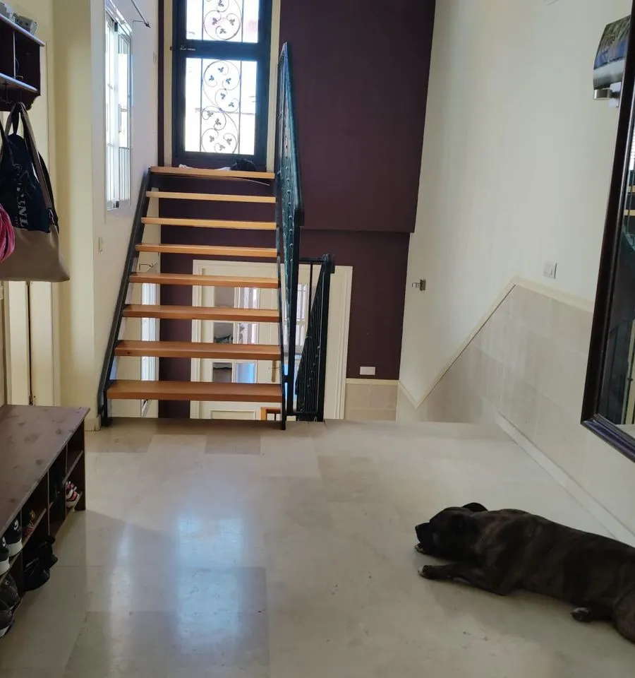 b6df32a1-e167-4cab-9bda-a24db00076e0