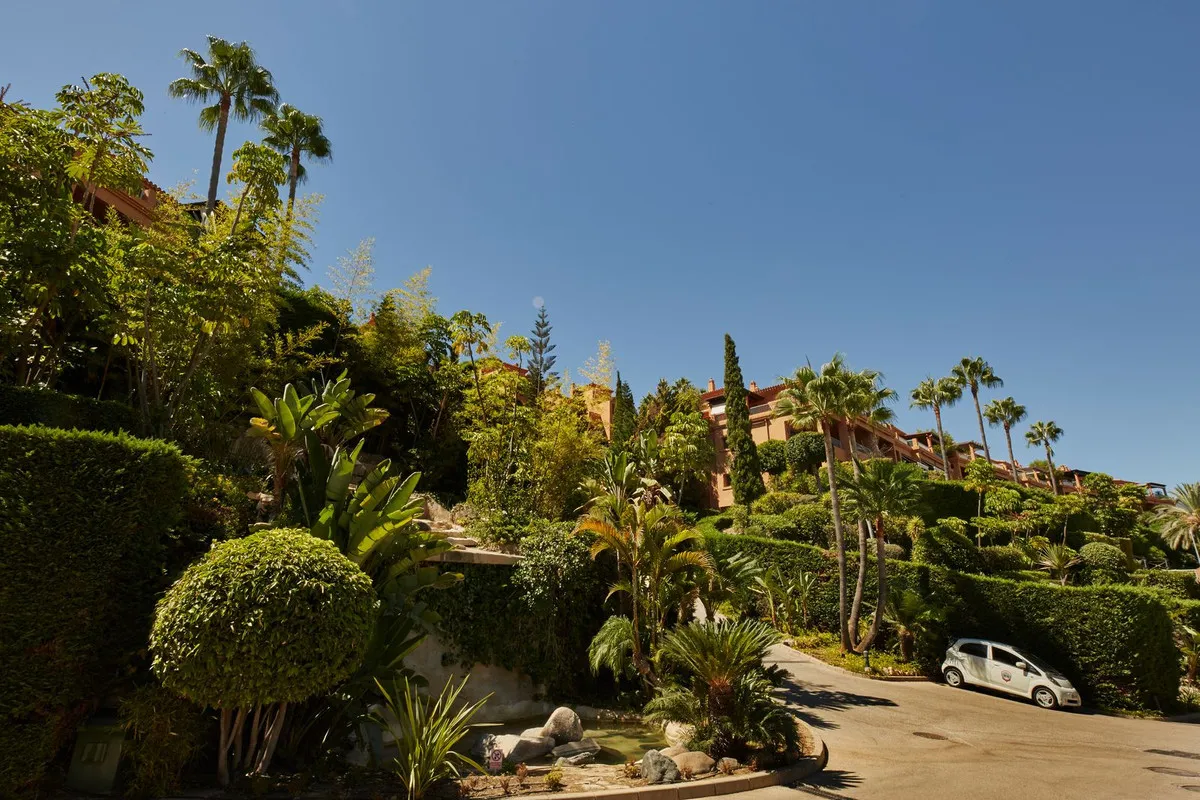 97663eb3-8431-4554-a646-c4ea89cd7976