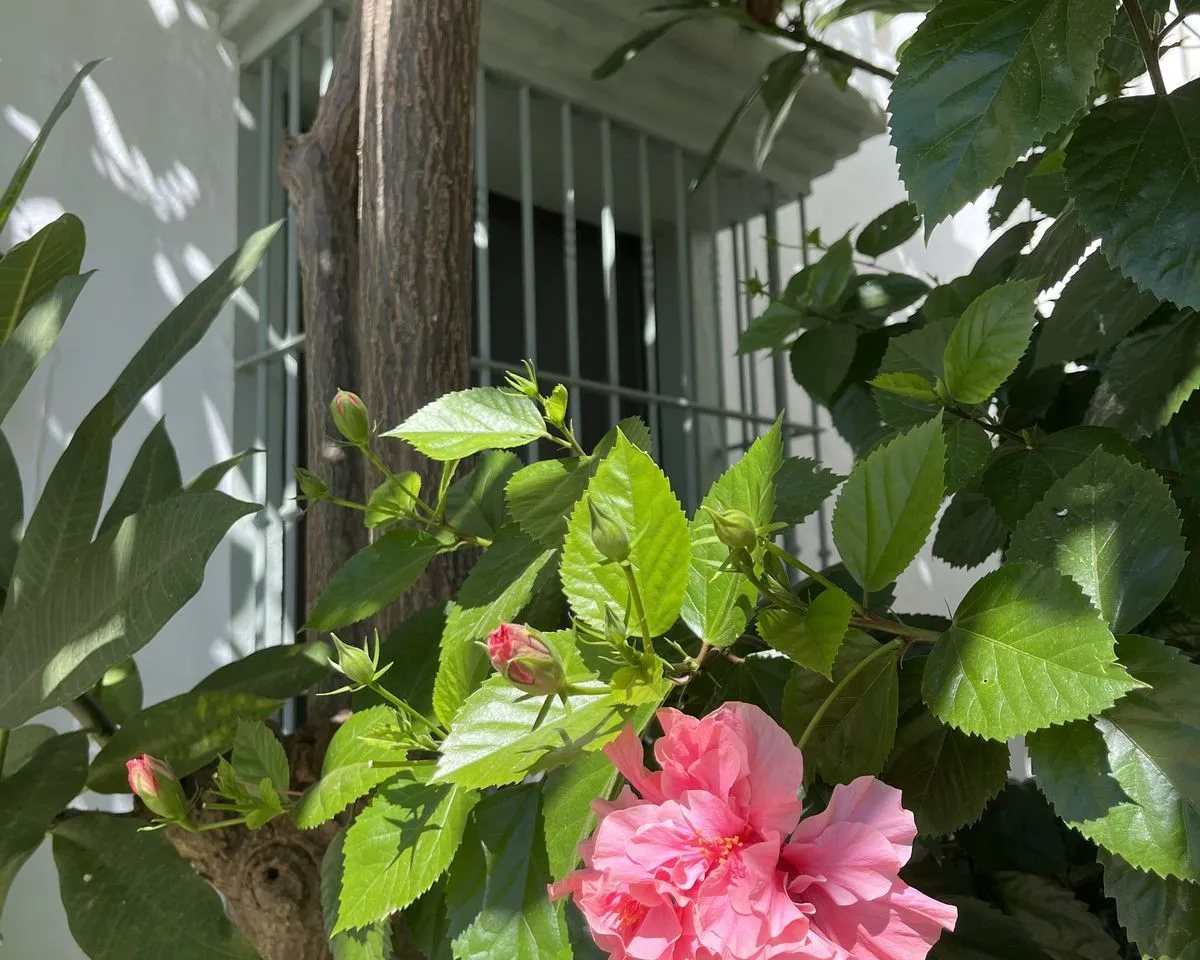 f3e4a233-d669-4d69-aa5f-370c28e2fb38