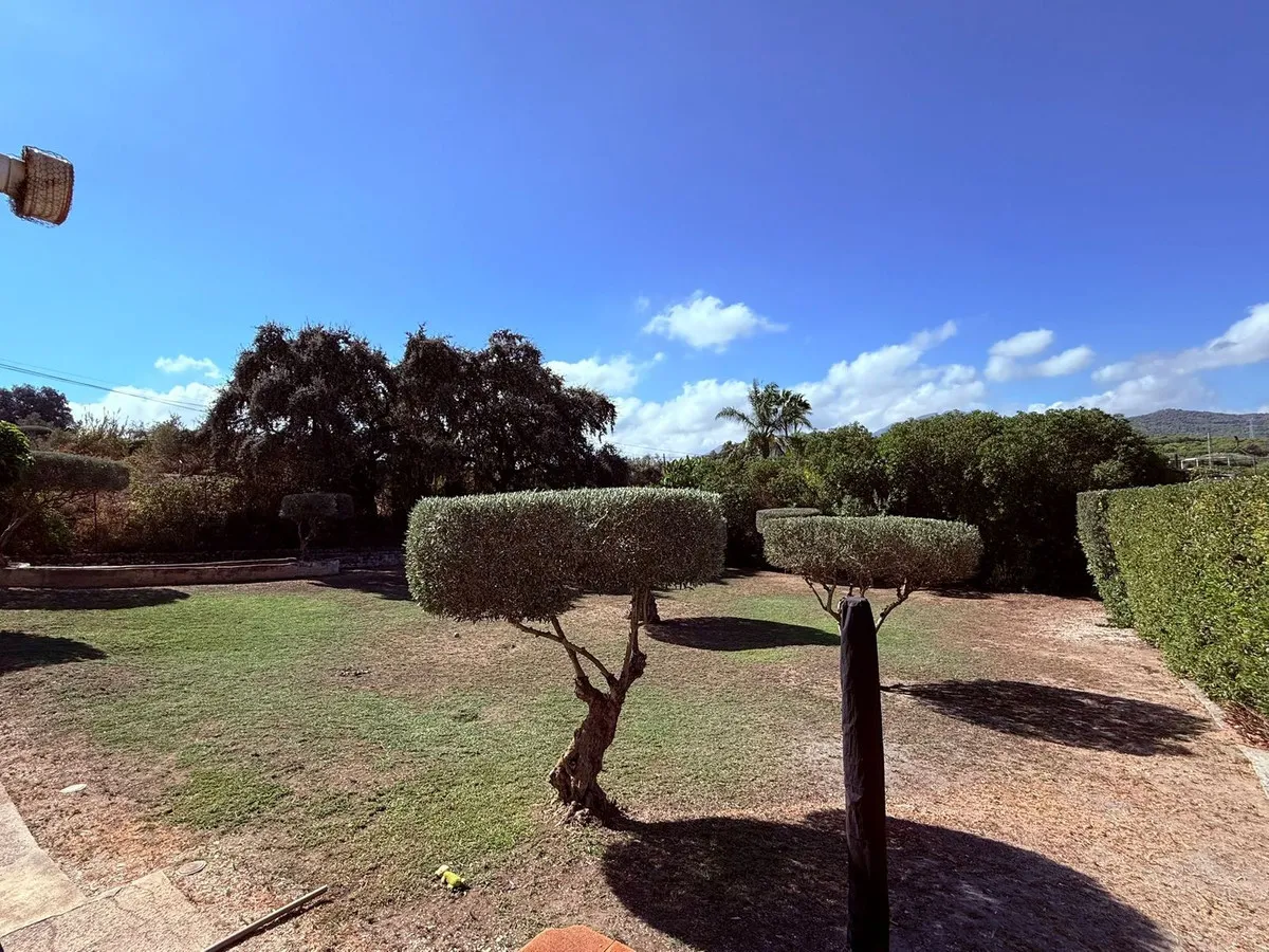 cf65a425-a6fa-4c98-b5a4-500035cc1237