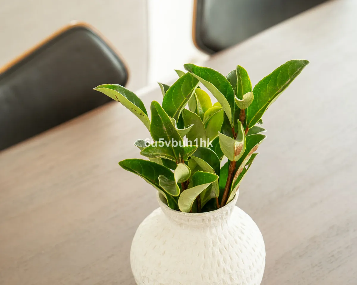 cbeb5661-1d12-4790-ab73-327669632f54