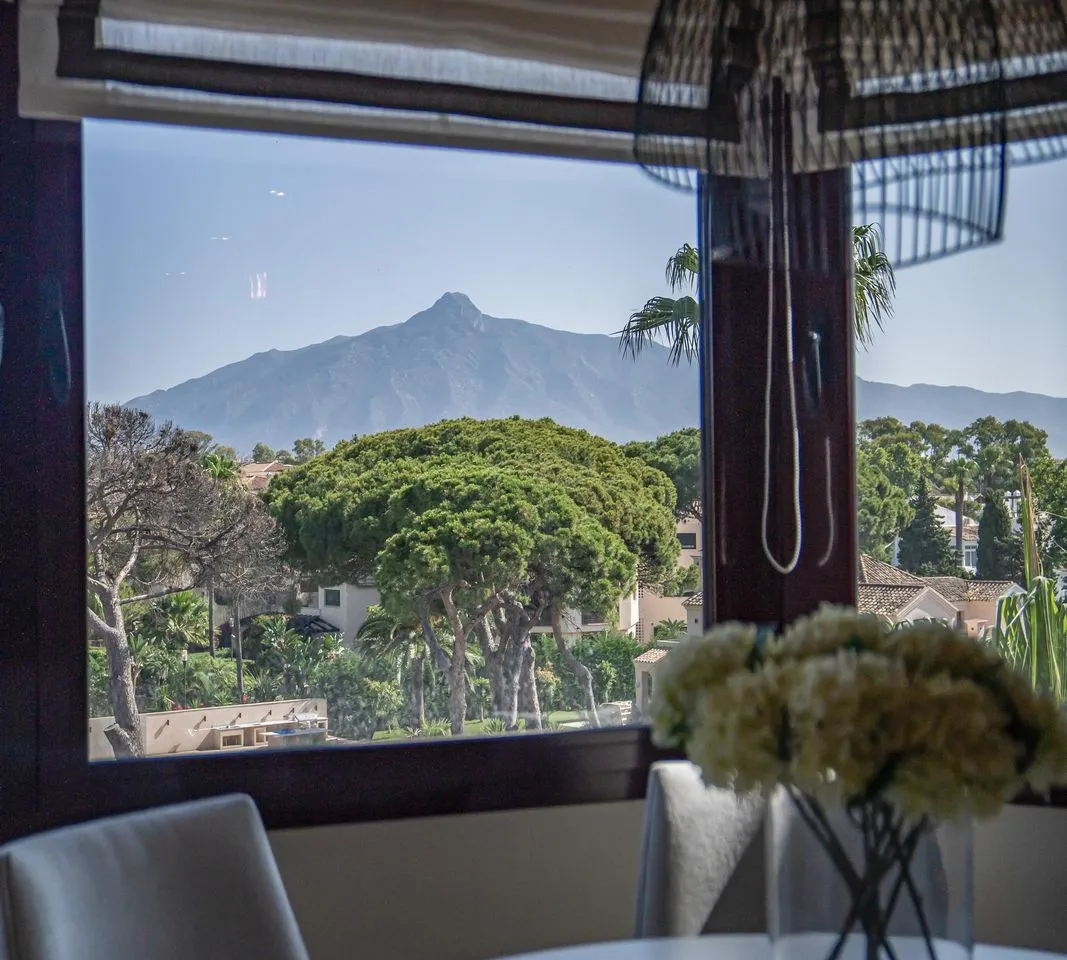 43b7d838-d677-4c87-a246-dc8c5c95e36e