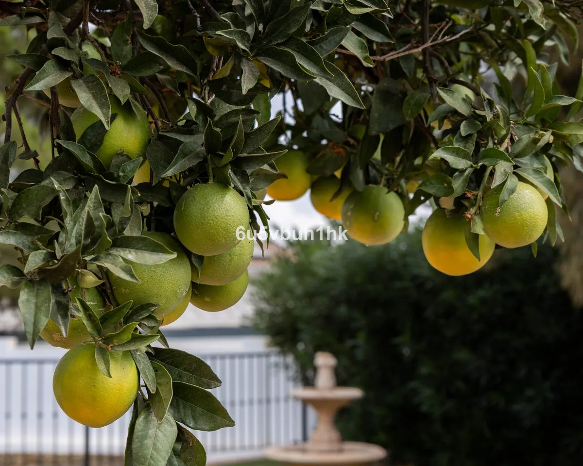 1e321503-93f3-44f3-a030-d3ca11914ae0