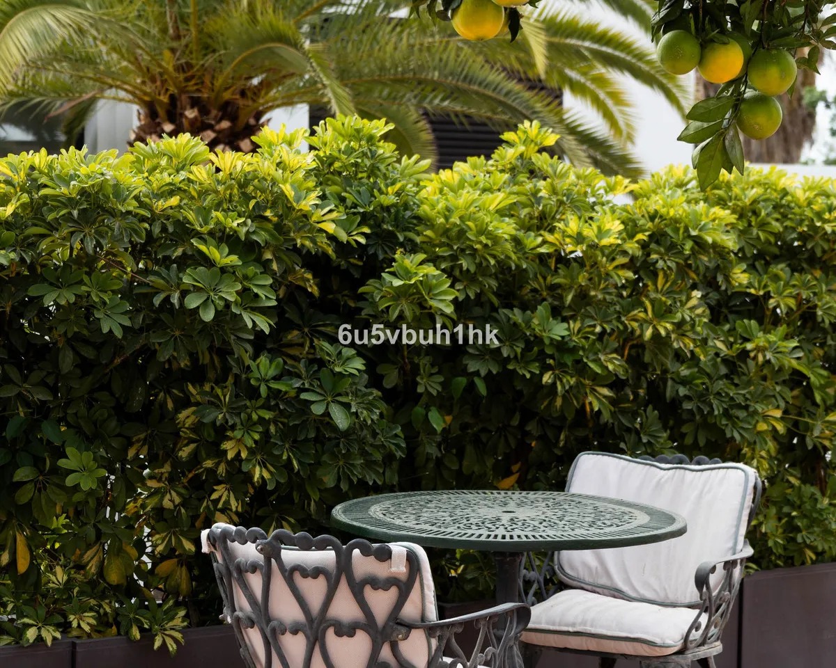 87e4bb55-1fac-4339-91b4-a0d5fd6bfe1c