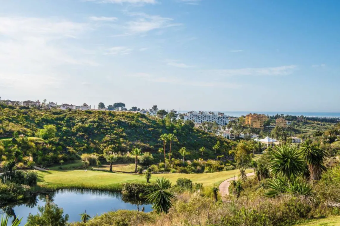 a67076b8-04e5-44ee-86f1-079146cab46f