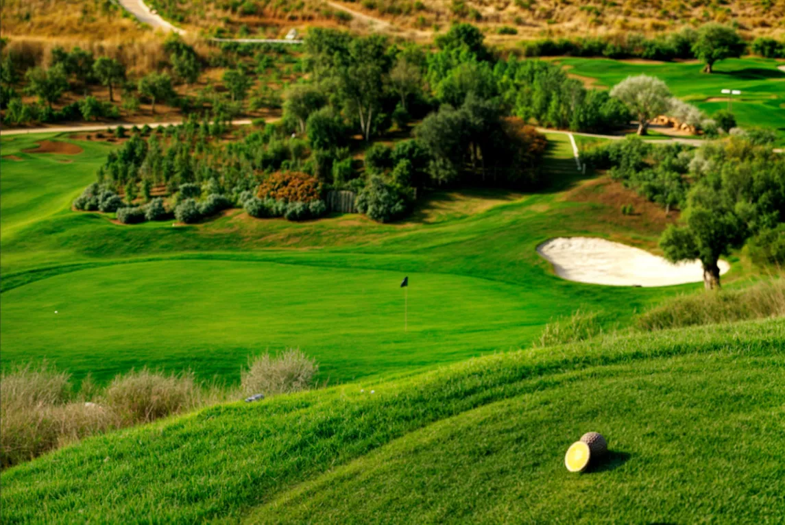 fcdfa890-17f4-4738-87e4-16ebe4360092