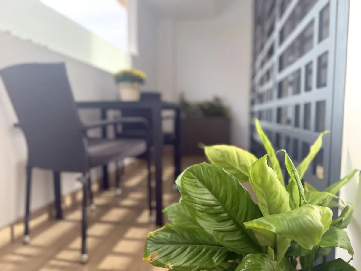 8b01d812-549b-4e5e-9d3e-241b17715e4d