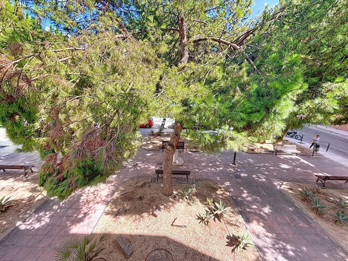 7397fa48-1e93-4b6e-92d1-b4c9a886bf13