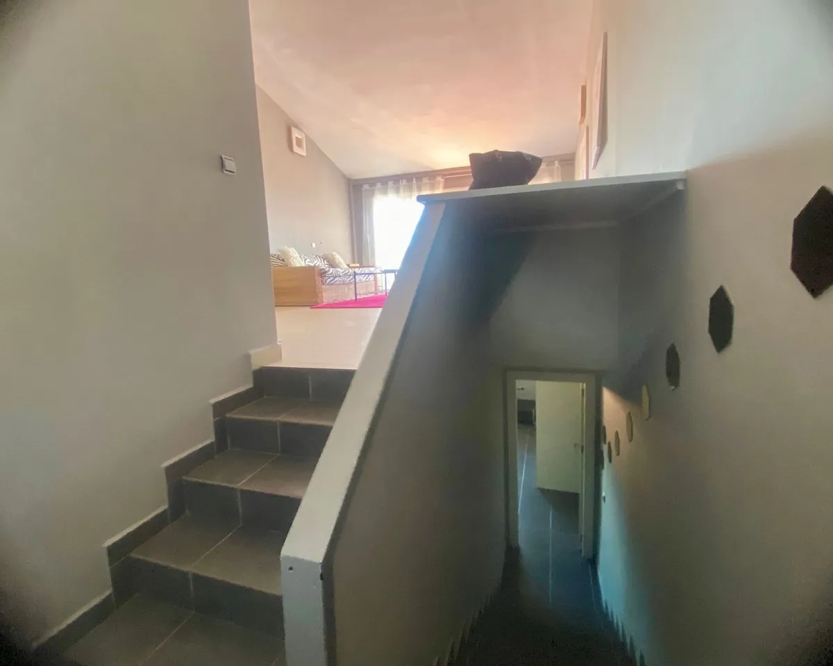 64d6229d-26c7-473b-9ad3-00bb59512ebc