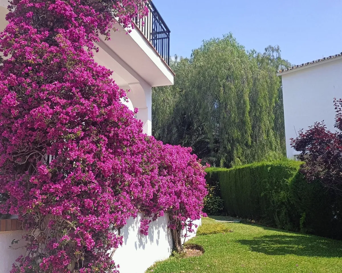 f402d975-fd8e-4e62-a03b-4efedfb5f23a