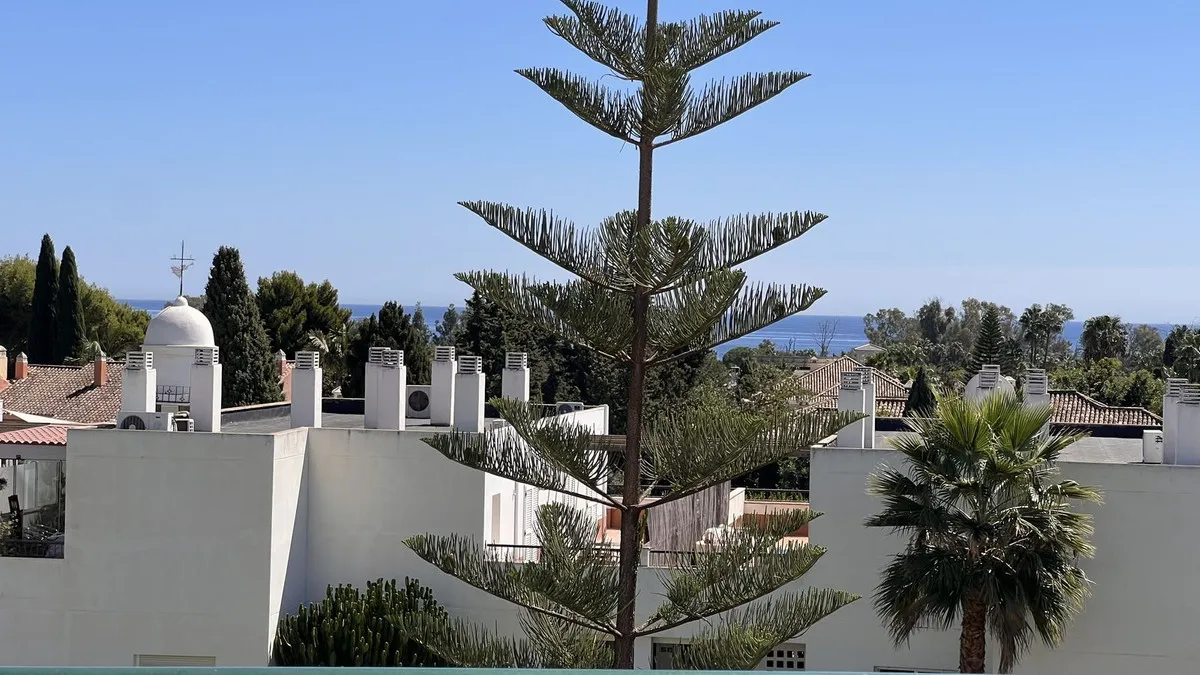 54125380-f90a-40ed-9aef-57817b7da782