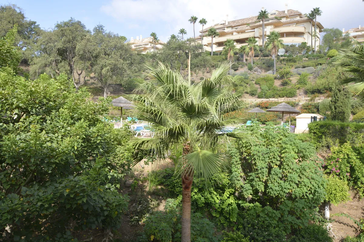 36c9c11e-5f0a-465e-8584-0491776bb102