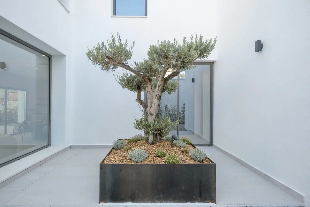 ddadb067-078a-4020-9331-fbeb72d6353c