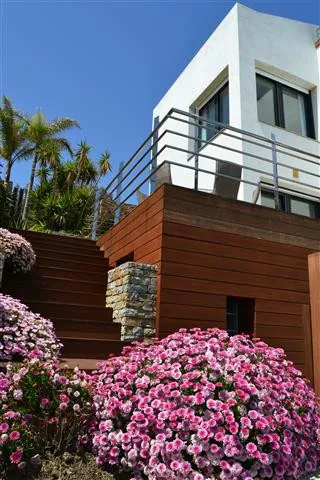 255578bf-5559-47cc-b731-970d33e59396