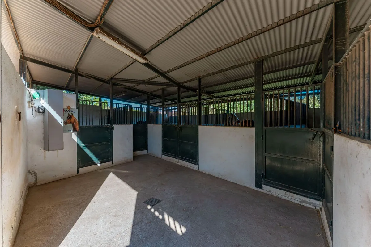 51c396f4-ea02-48d8-81d5-cd3f9979261b