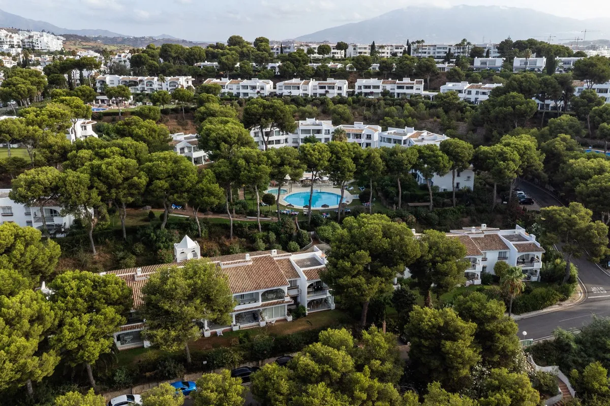 0179a317-ed2c-4d90-a950-d6c7be3d3690