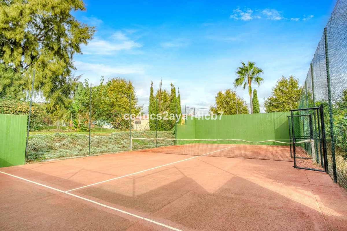 6e31c29e-1b34-4b67-8174-38cfc2716d3d