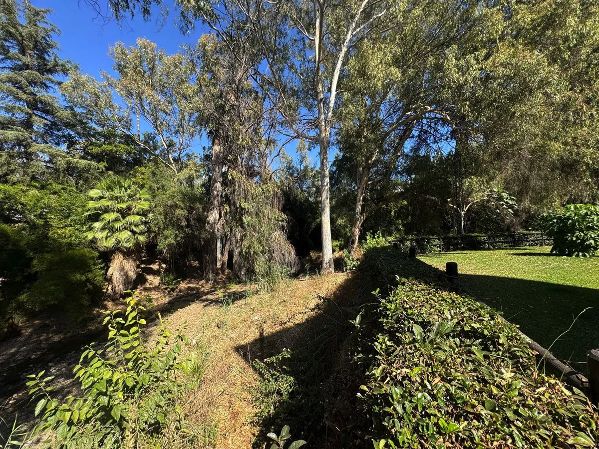 66a4b9b6-2d63-4263-b04a-30aa1f22e713