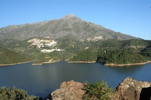 86182484-373c-40fe-89b9-b3e34b801696