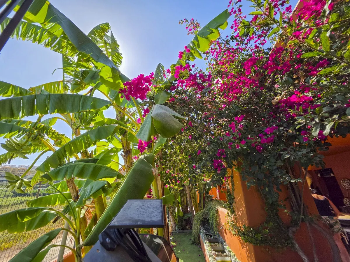 0712d96f-21da-43d5-aaed-fa5b7e9651d4