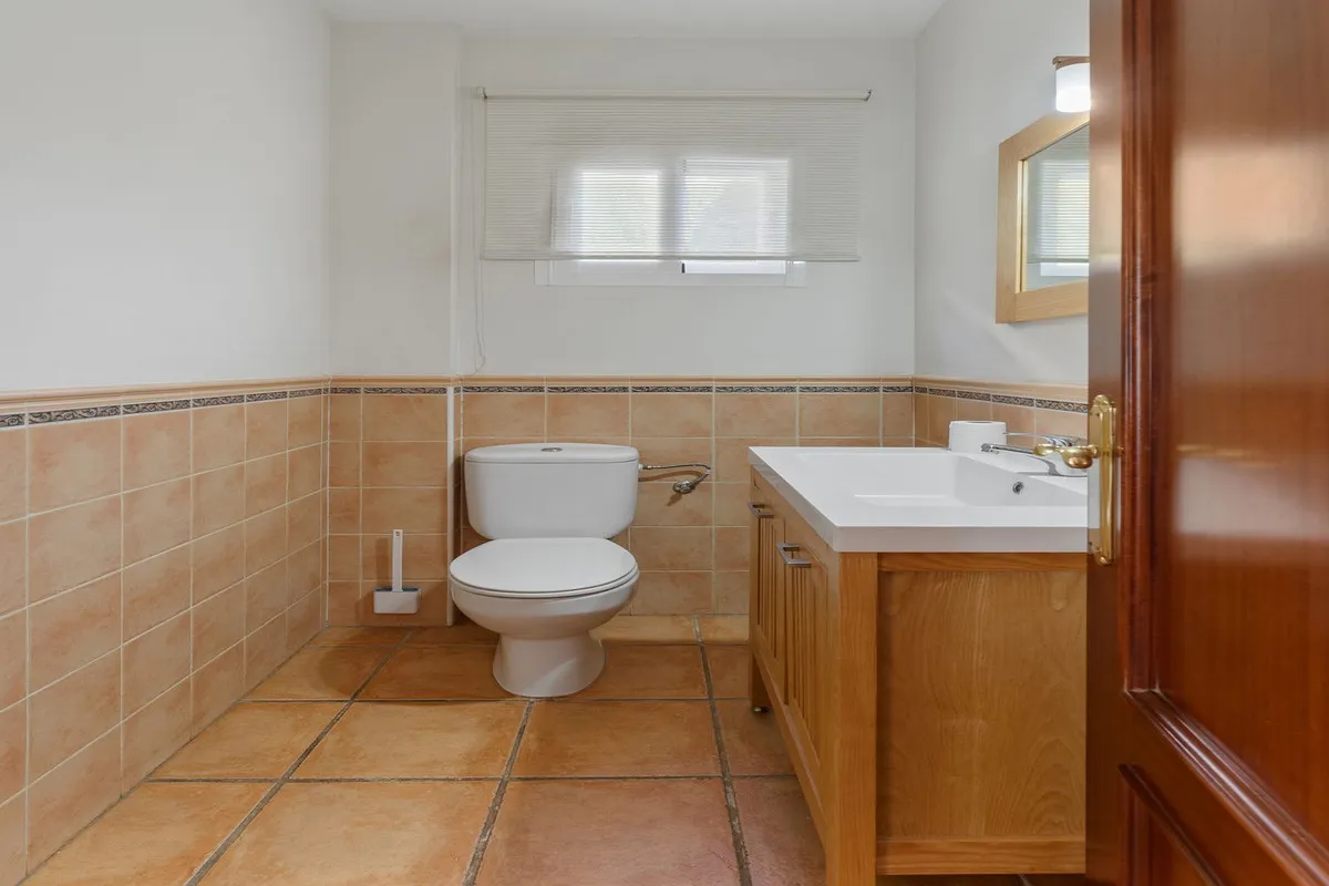 e52c3651-2c20-4400-a8d2-486f21eedf0b