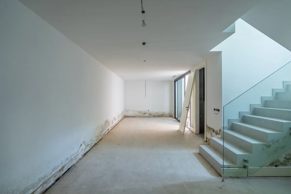 ce5c37a8-2ca3-4af8-befe-c89eb6a6a82d